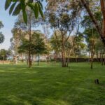 Parque Campismo Pinheiro Ilha Graciosa